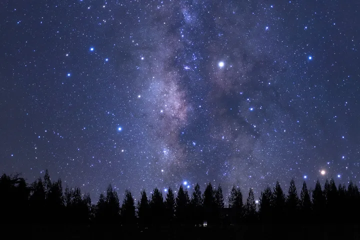 The Milky Way galaxy core rising above a silhouetted pine tree forest in a vivid night sky photo.