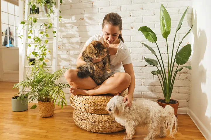 A smiling woman sitting with a fluffy cat in her lap and a small white dog beside her indoors.