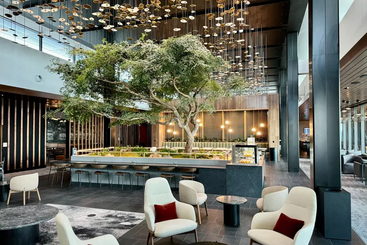 Luxurious airport lounge interior featuring a large live tree, bar area, and modern seating.