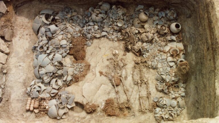 What Ancient Korean DNA Reveals About Society