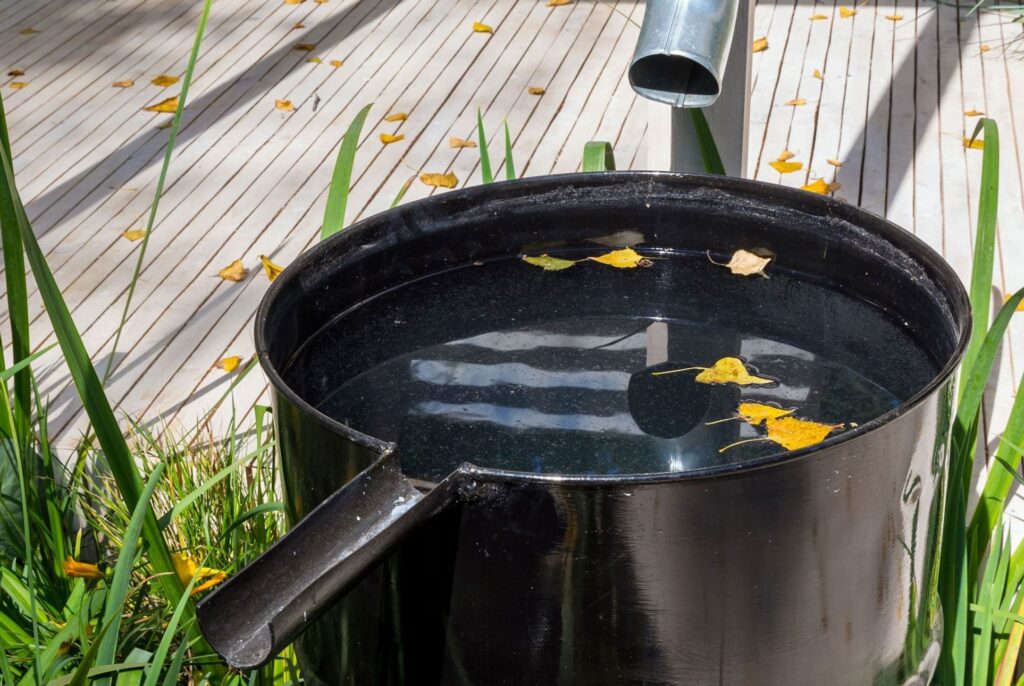 What Most People Get Wrong About Rainwater