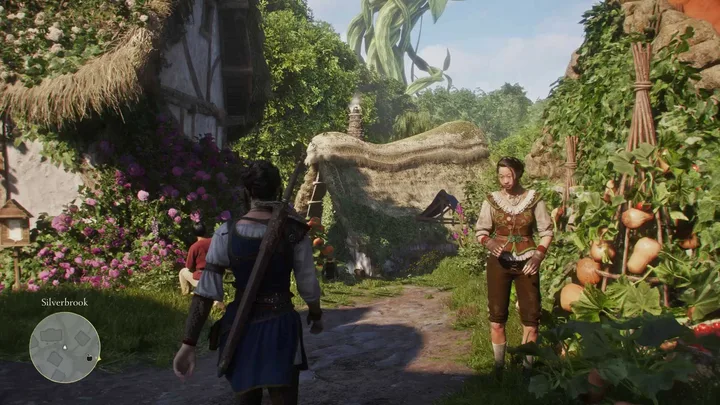 Open world RPG gameplay showing a medieval village street with characters and a minimap.