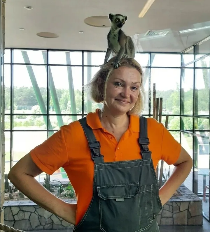 Smiling female zookeeper in overalls with a lemur perched on her head inside a zoo enclosure.